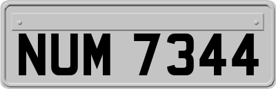 NUM7344