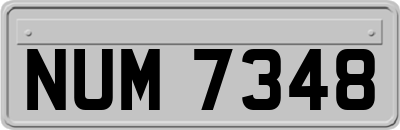 NUM7348