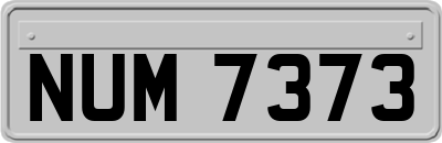 NUM7373