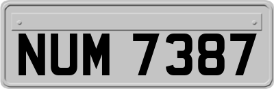 NUM7387