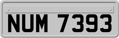NUM7393