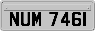NUM7461