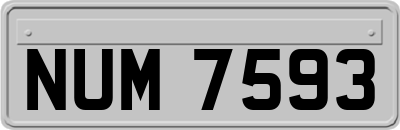 NUM7593