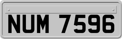 NUM7596