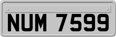 NUM7599