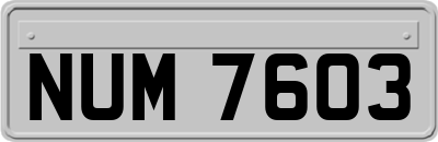 NUM7603