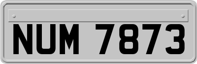 NUM7873