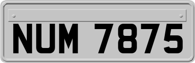 NUM7875