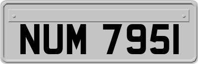 NUM7951