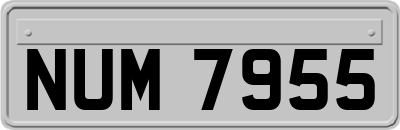 NUM7955