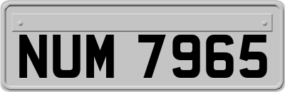 NUM7965