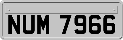 NUM7966
