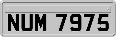 NUM7975