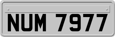 NUM7977