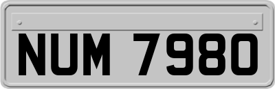 NUM7980