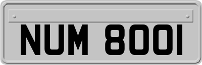 NUM8001
