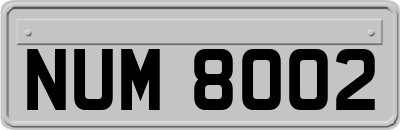NUM8002
