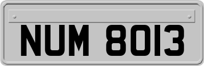 NUM8013