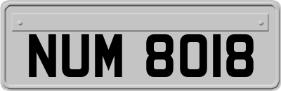 NUM8018