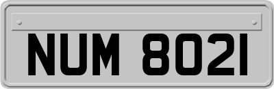 NUM8021