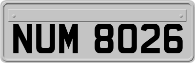 NUM8026