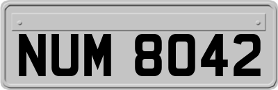 NUM8042