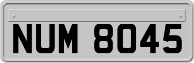 NUM8045