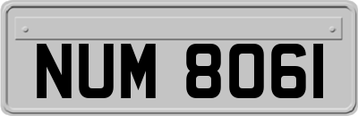 NUM8061