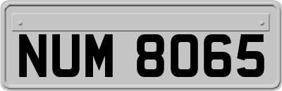 NUM8065