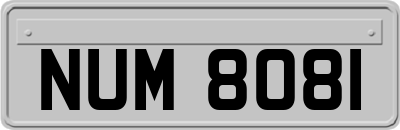 NUM8081