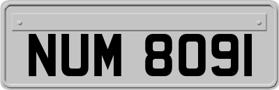 NUM8091