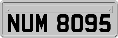 NUM8095