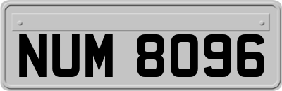 NUM8096
