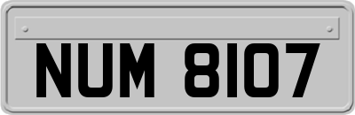 NUM8107