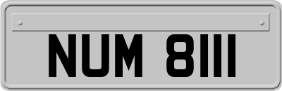 NUM8111