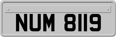 NUM8119