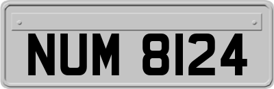 NUM8124