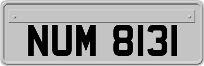 NUM8131