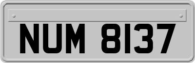 NUM8137