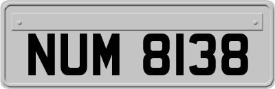NUM8138