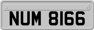 NUM8166