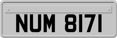 NUM8171