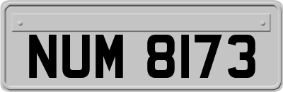 NUM8173