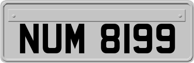NUM8199