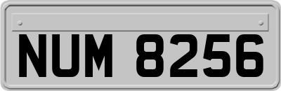 NUM8256