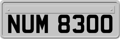 NUM8300