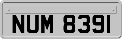 NUM8391