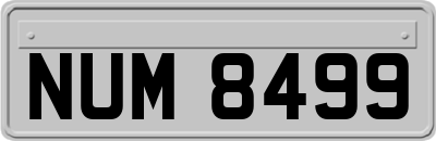 NUM8499