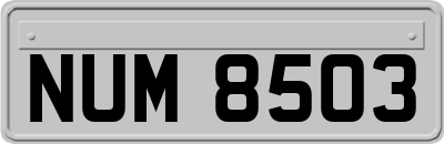 NUM8503