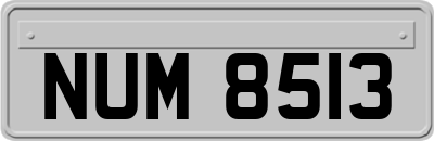 NUM8513